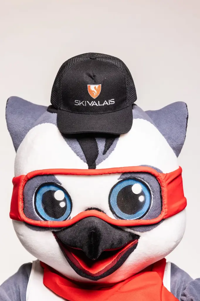Casquette Ski Valais