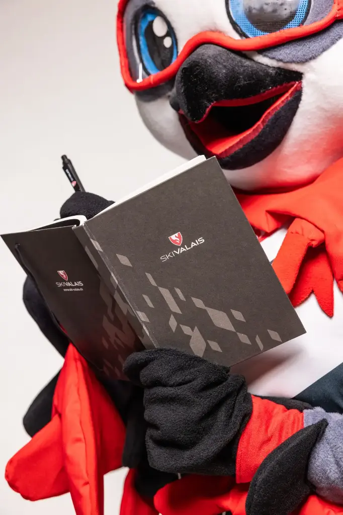 Bloc-Notizen Ski Valais