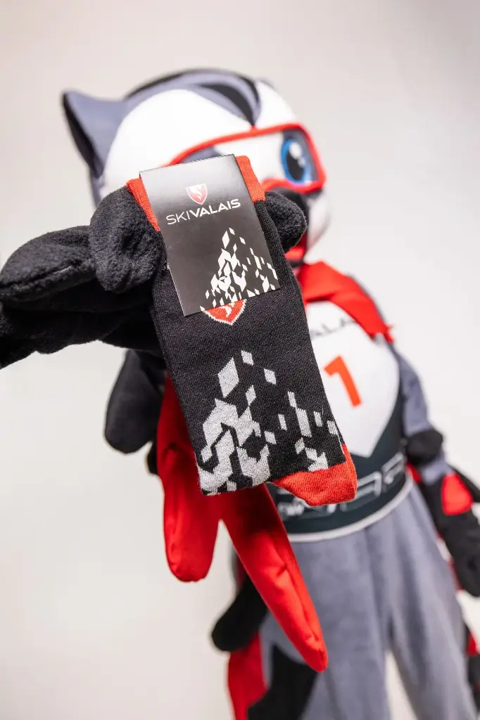 Chaussettes Ski Valais 38-44