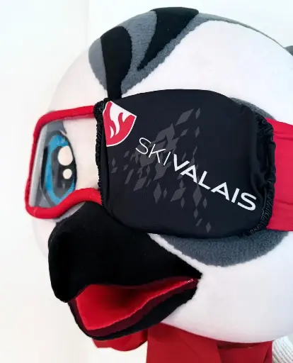 Protection masques de ski